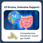 Buy now Vitamin Bounty Pro-50 Probiotics 50 Billion CFU for Women & Men - 13 Multi Strain Probiotic + Prebiotic - Digestive Health Supplements for Gut Health Support - Delayed Release Capsules for Men & Women at indiglob india