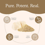 Buy now Real Mushrooms Lions Mane Mushroom Supplement - Organic Lions Mane Extract Powder for Overall Wellness with Adaptogens â€“ Functional Vegan, Non-GMO Blend with 60 Servings at indiglob india