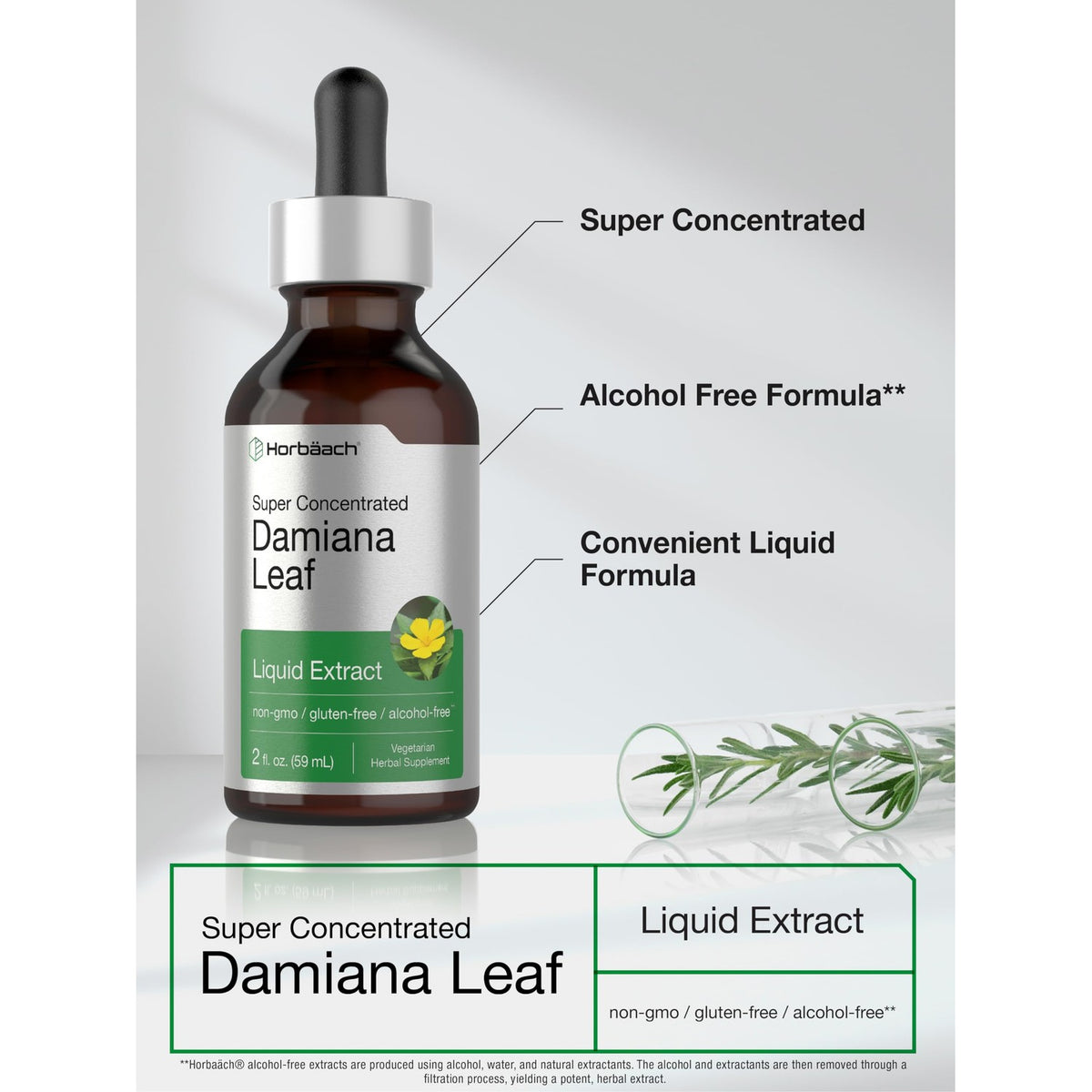 Horbäach Damiana Leaf Herb Tincture | 2 fl oz | Super Concentrated
