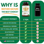 MNO Black Seed Oil Capsules 2000mg High TQ, 60 Count, Cold Pressed Supply | Organic cold pressed black cumin oil capsules with high TQ for immune & joint support, 1 month supply, 60 count
