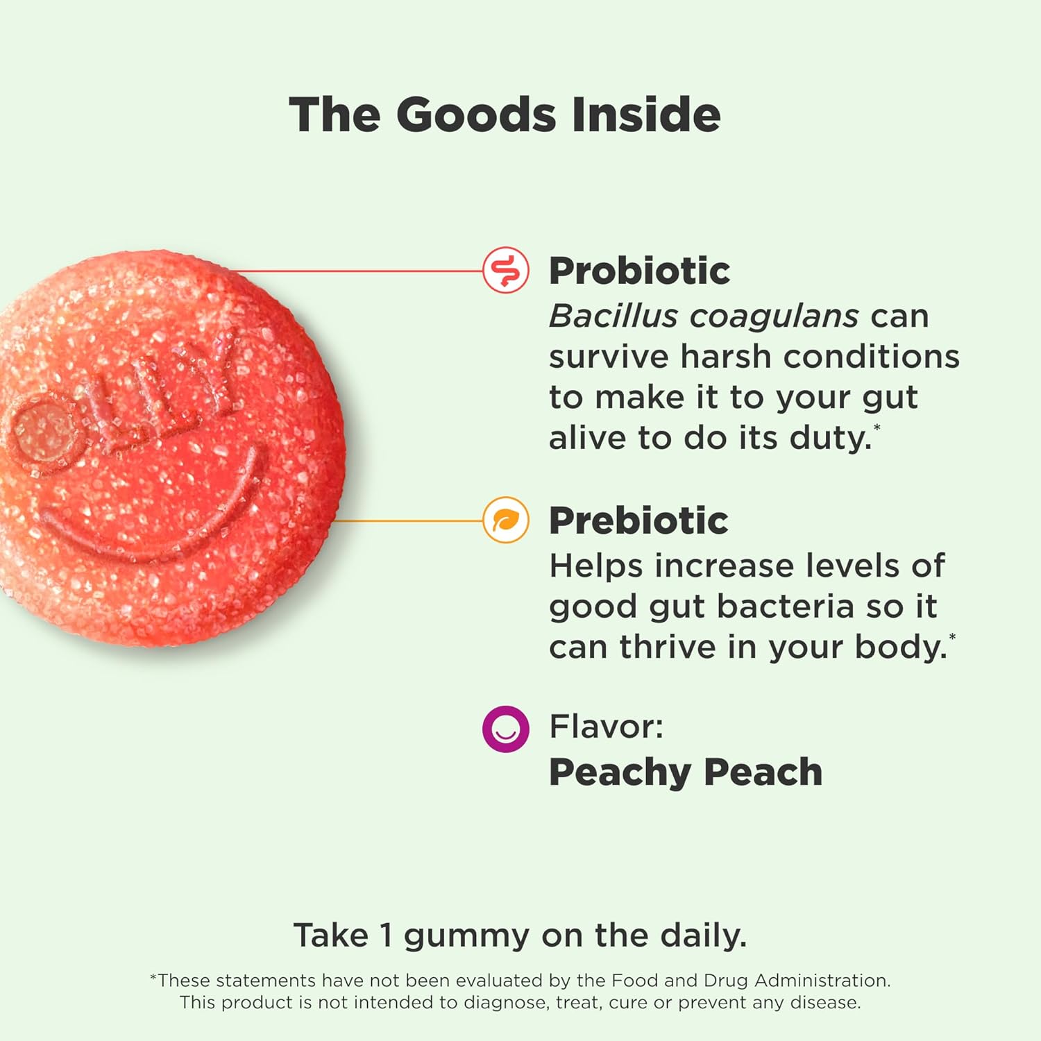 Buy now OLLY Probiotic + Prebiotic Gummy, Digestive Support and Gut Health, 500 Million CFUs, Fiber, Adult Chewable Supplement for Men and Women, Peach, 30 Day Supply - 30 Count at indiglob india
