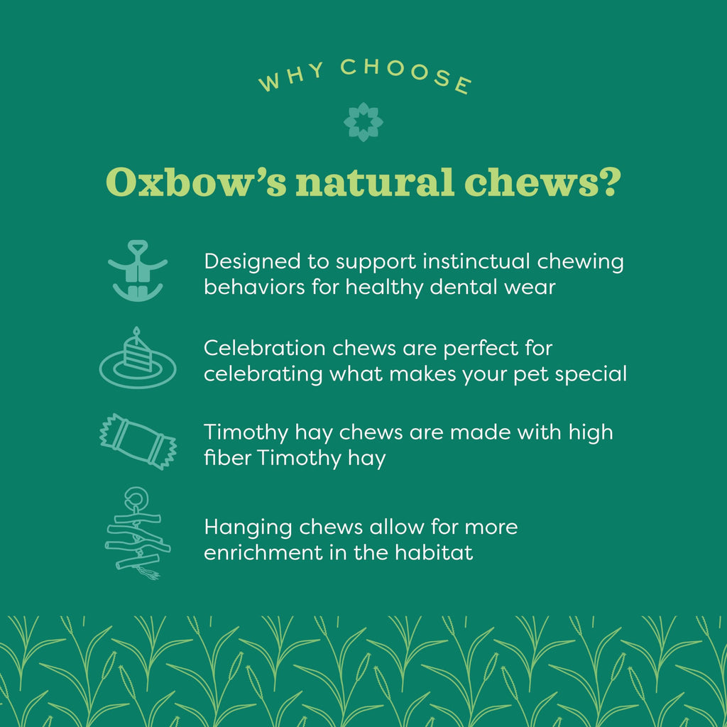 Oxbow Timothy Hay Popsicle, Rabbit Toy & Guinea Pig Chew Toy, Apple Carrot