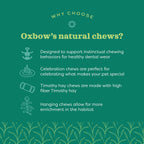 Oxbow Timothy Hay Popsicle, Rabbit Toy & Guinea Pig Chew Toy, Apple Carrot