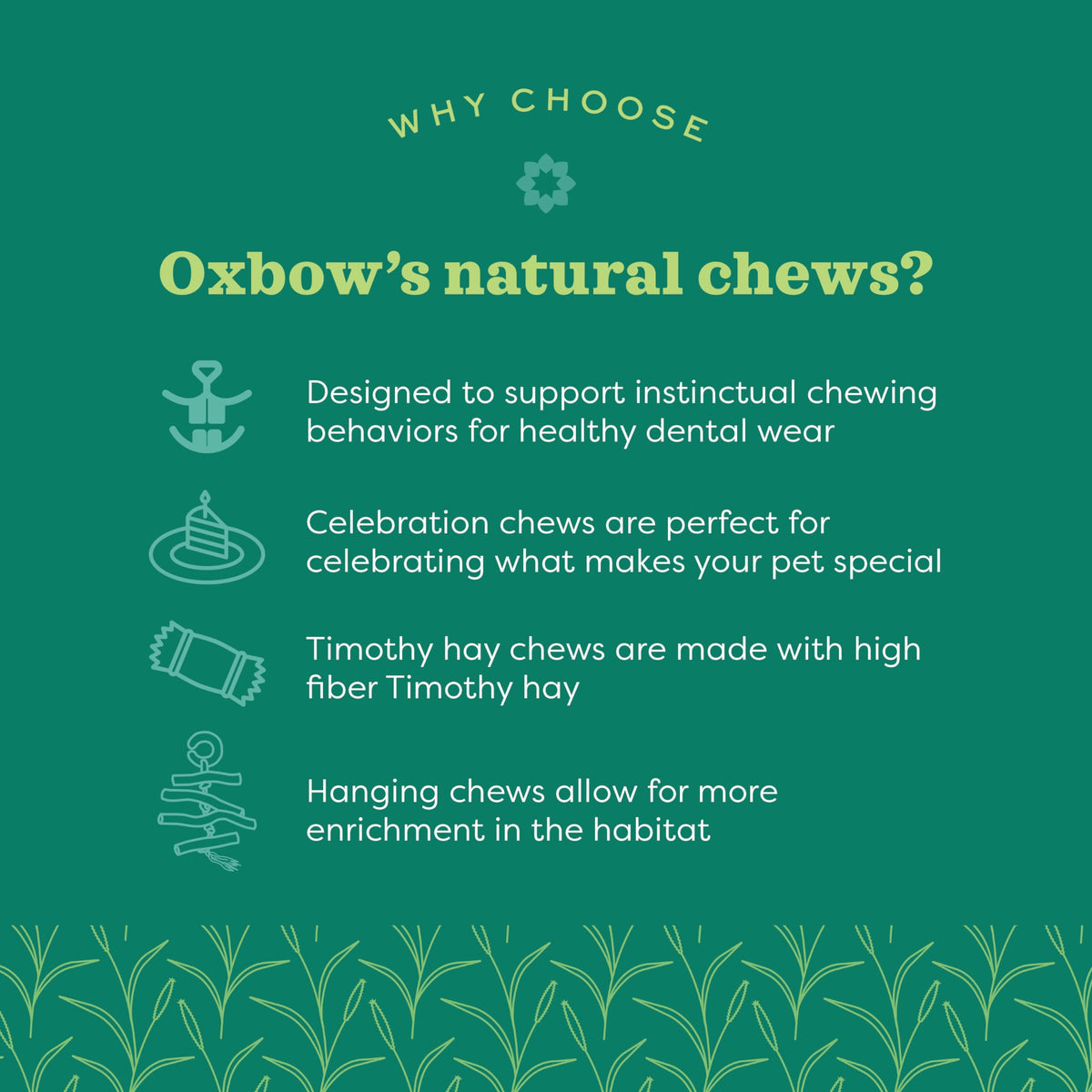Oxbow Timothy Hay Popsicle, Rabbit Toy & Guinea Pig Chew Toy, Apple Carrot