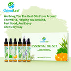 Essential Oil Gift Set, Blends for Diffusers, Aromatherapy, Humidifiers