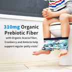 Buy now Garden of Life Kids Probiotics, Dr. Formulated Probiotics Organic Kids+ Vitamin C & D, Watermelon, Gluten Dairy & Soy Free Immune & Digestive Health Supplement, 30 Chewables (Shelf Stable) at indiglob india