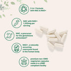 Micro Ingredients NAC with NAD+, 1200mg Per Serving, 240 Veggie Capsules