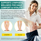 Lymphatic Drainage Supplements, 4275mg Lymph System Support for Immune