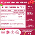 NATURE TARGET Berberine Supplement with Ceylon Cinnamon 1200mg, 120 Capsule | Berberine HCl with Chromium - Supports Immune, Gastrointestinal & Digestive Health, Non-GMO