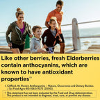 Nature Made Elderberry 400 mg Extract with Vitamin C and Zinc, Dietary Supplement for Immune Support, 60 Capsules, 60 Day Supply (Pack of 2)