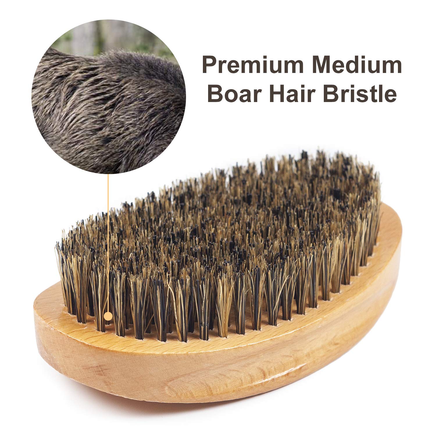 Buy now Wave Brush Medium Boar Bristles Hair brush-Designed for Thin and Normal Hair-Mens Curved Military Wave and Beard Brush-Great for 360 Waves at indiglob india