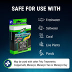 Fritz Aquatics ParaCleanse Provides Fast Relief from Parasitic Diseases (20-Count)