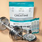 TERRA ORIGIN Healthy Creatine Micronized Monohydrate Powder | 30 Stick Packs | Support for Muscle and Cognitive Performance* | Supplement for Women and Men | Unflavored, Gluten Free, Zero Sugar