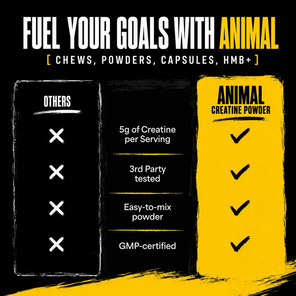 Animal Creatine Monohydrate Powder — Micronized for Muscle Recovery, Cellular Energy, and Daily Wellness — for Men and Women — Unflavored 300g
