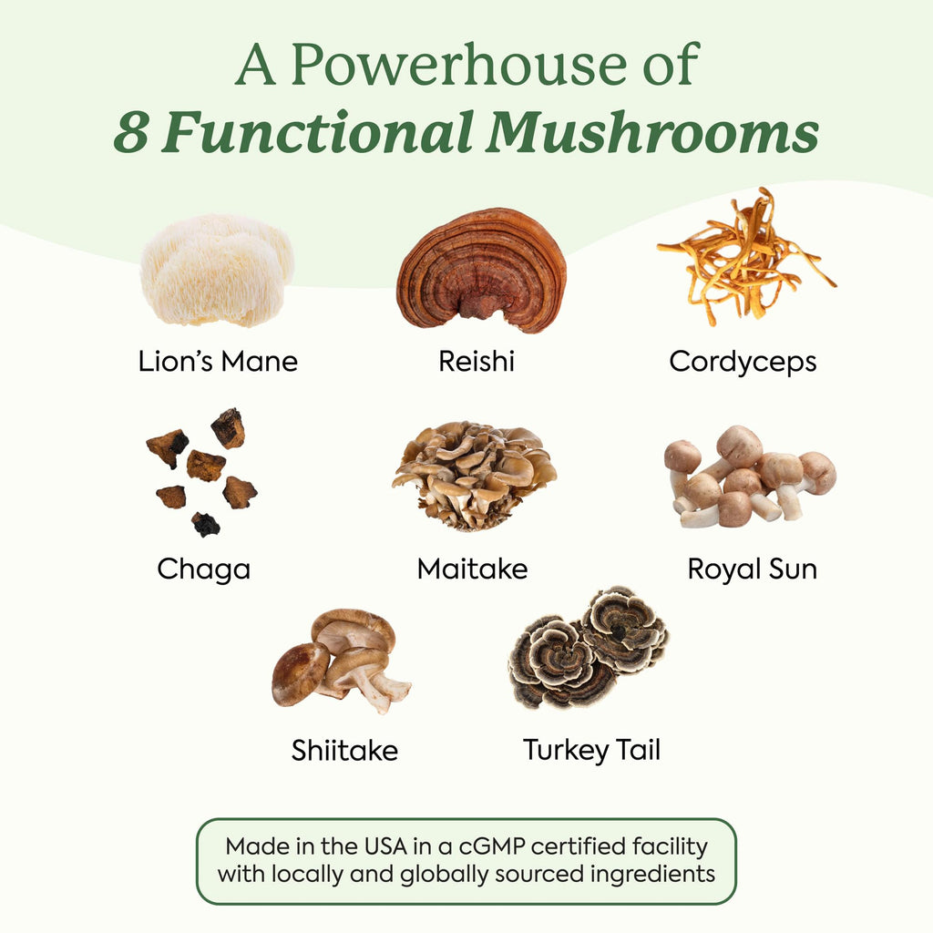 Plant People WonderDay Mushroom Gummies for Energy, Raspberry, 60ct | Chaga Mushroom Supplement to Support Immune System De-Stress Boost Mood & Energy in Adults Natural, Vegan, Non-GMO