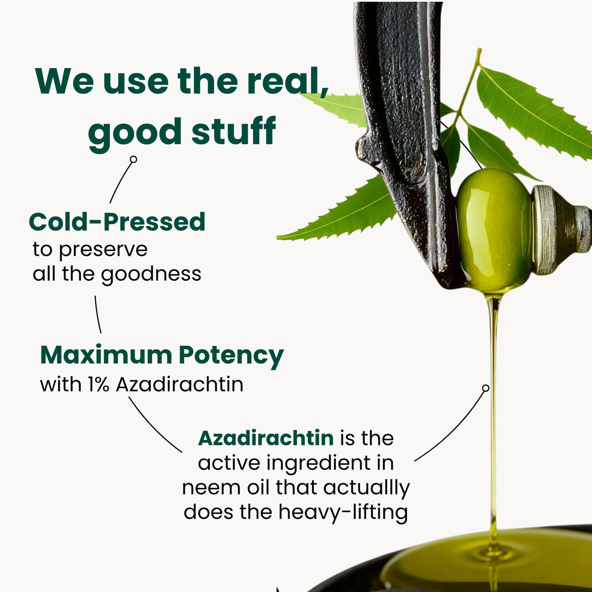 Neem Oil for Plants (Makes 30 Bottles) with Spray Bottle & Essential Oils for Indoor Houseplants & Outdoor Gardens, Natural Leaf Shine