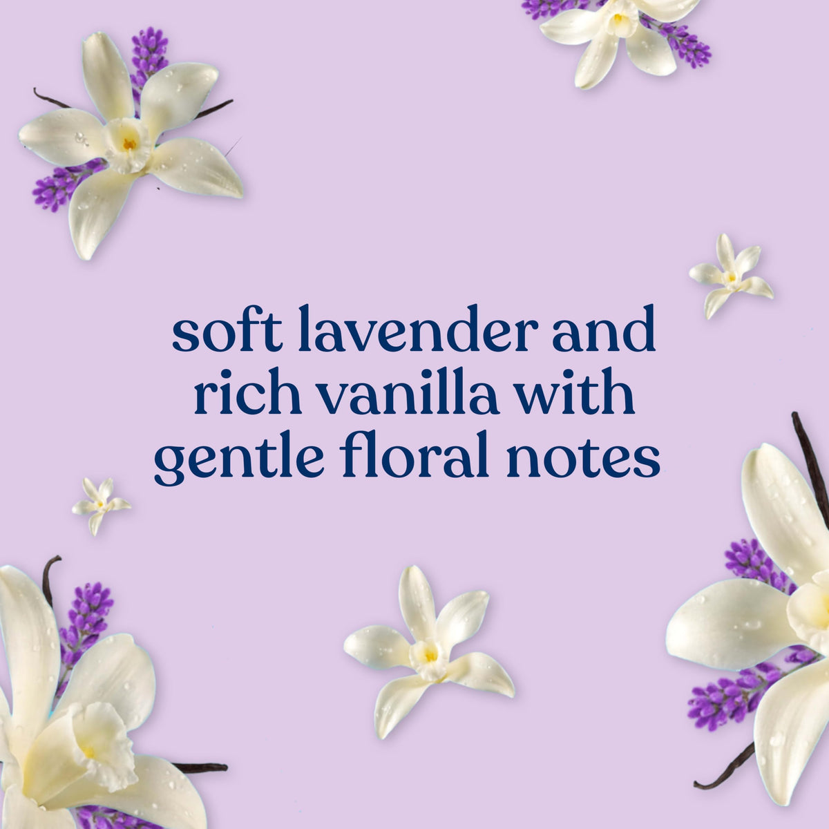 Johnson’s Baby Lavender & Vanilla Scent Wash & Shampoo + Lotion Bundle