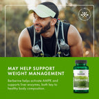 Buy now Swanson Berberine - Supports Metabolic Health & Heart Health* - Contains Standardized Berberine HCl - Non-GMO & Gluten-Free - 60 Vegan Capsules at indiglob india