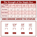 Arrow Electric Staple Gun Kit with 3750 Pieces T50 Staples, T50ACD
