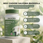 Rhodiola Rosea Supplement – Golden Root Adaptogen Capsules - Rhodiola Rosea Extract Powder Alternative with Salidroside for Stress Support - Energy, Focus & Performance