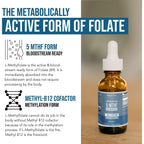 Organic Methyl Folate 1000 mcg + Methyl B12 Cofactor (300 Servings) – Metabolically Active 5-MTHF Form, Organic Berry Flavor, Liquid Sublingual Form – Mood, Cognition, Methylation, Pregnancy (1oz)