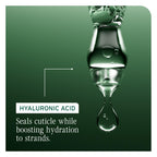 Biolage Hydra Source Shampoo – For Dry Hair | Aloe vera, hyaluronic acid, vegan, paraben-free, softens, moisturizes, adds shine