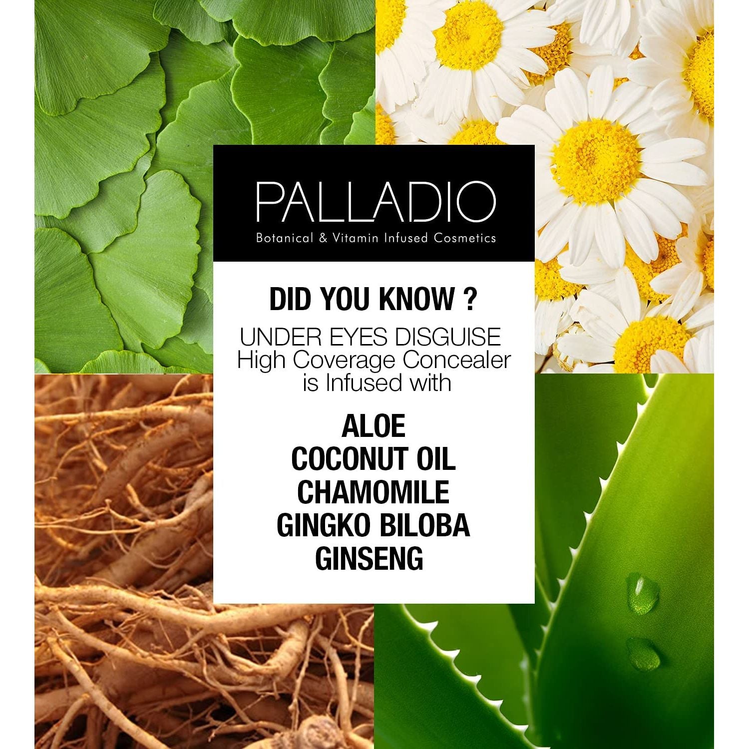 Buy now Palladio Full Coverage Concealer - Creamy Face & Under Eye Formula, Disguises Dark Circles, Blemishes, Fine Lines, Evens Skin Tone (Mocha) at indiglob india