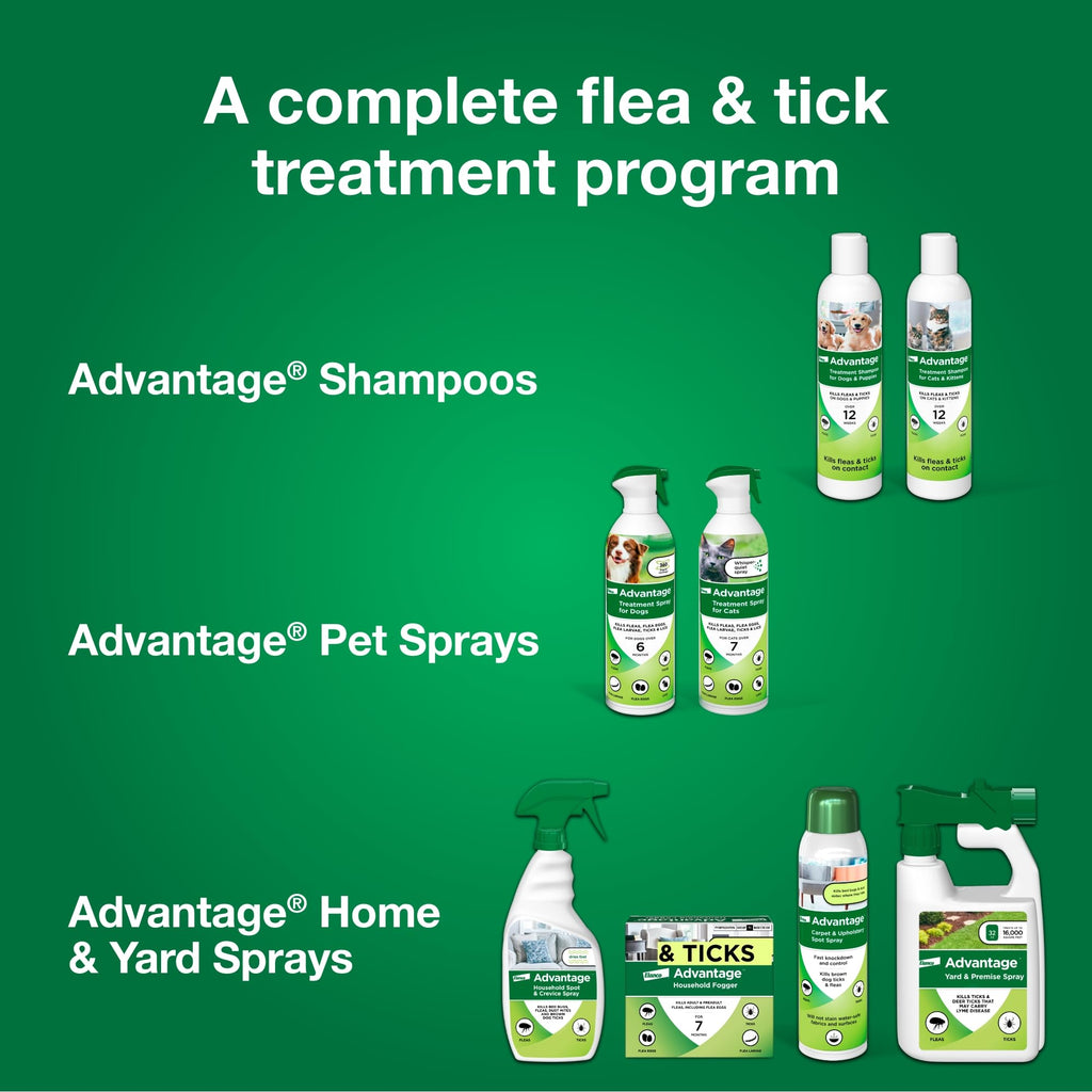 Advantage Treatment Shampoo for Cat and Kittens, Kills Fleas & Ticks, 8 oz.