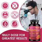 NATURE TARGET Berberine Supplement with Ceylon Cinnamon 1200mg, 120 Capsule | Berberine HCl with Chromium - Supports Immune, Gastrointestinal & Digestive Health, Non-GMO