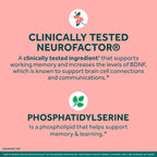 NEURIVA Original Brain Supplements - 28 Count Capsules | Brain Supplements for Memory and Focus, Phosphatidylserine, Neurofactor, Decaffeinated Nootropic, Clinically Tested