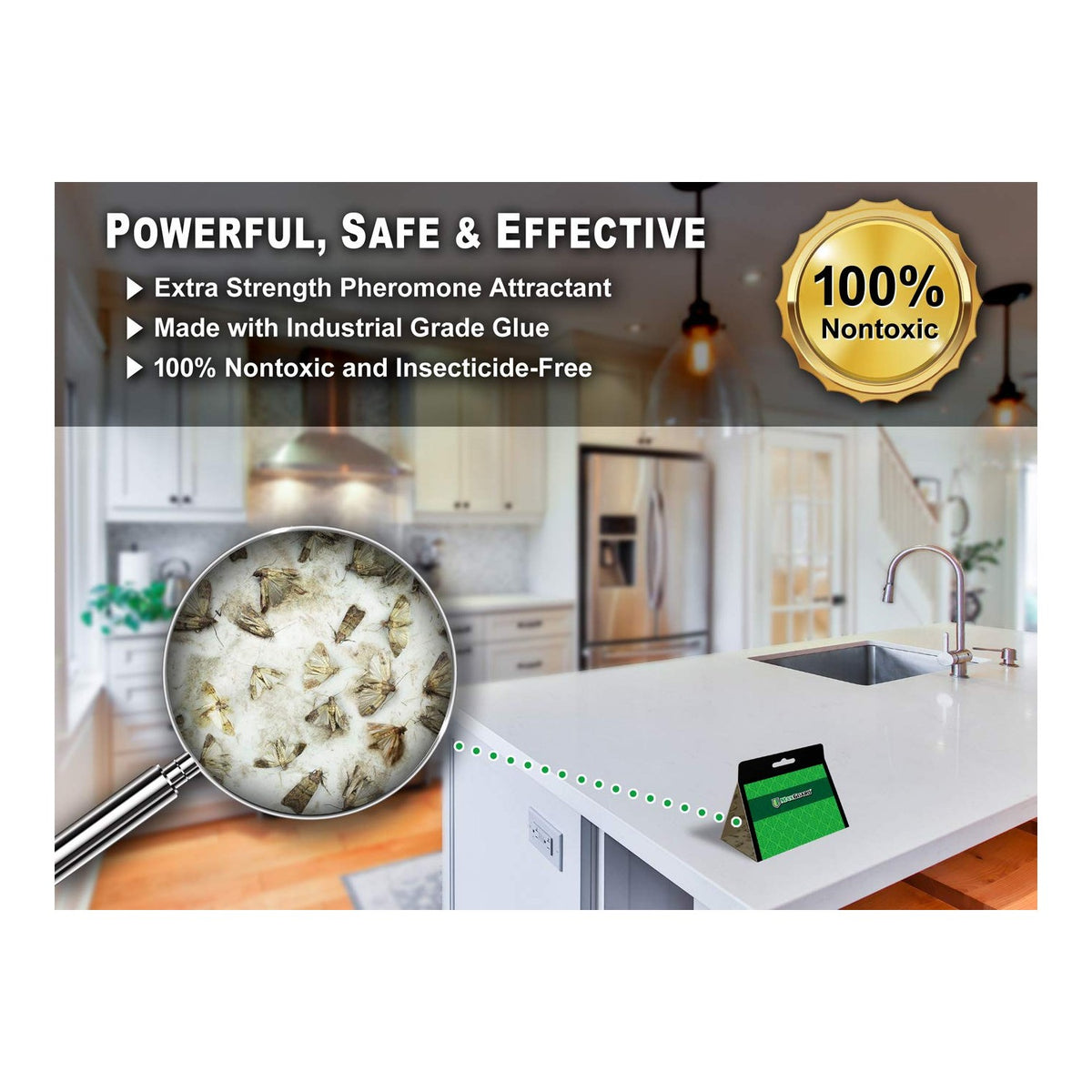 MaxGuard Pantry Moth Traps (4 Traps Trial Pack) Extra Strength Pheromones | Non-Toxic Sticky Glue Trap for Food and Cupboard Moths in Your Kitchen | Trap and Kill Seed Grain Flour Meal Moths |