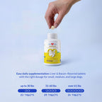 Same for Dogs 120 Tablets - Liver Supplement, Brain & Mood Support