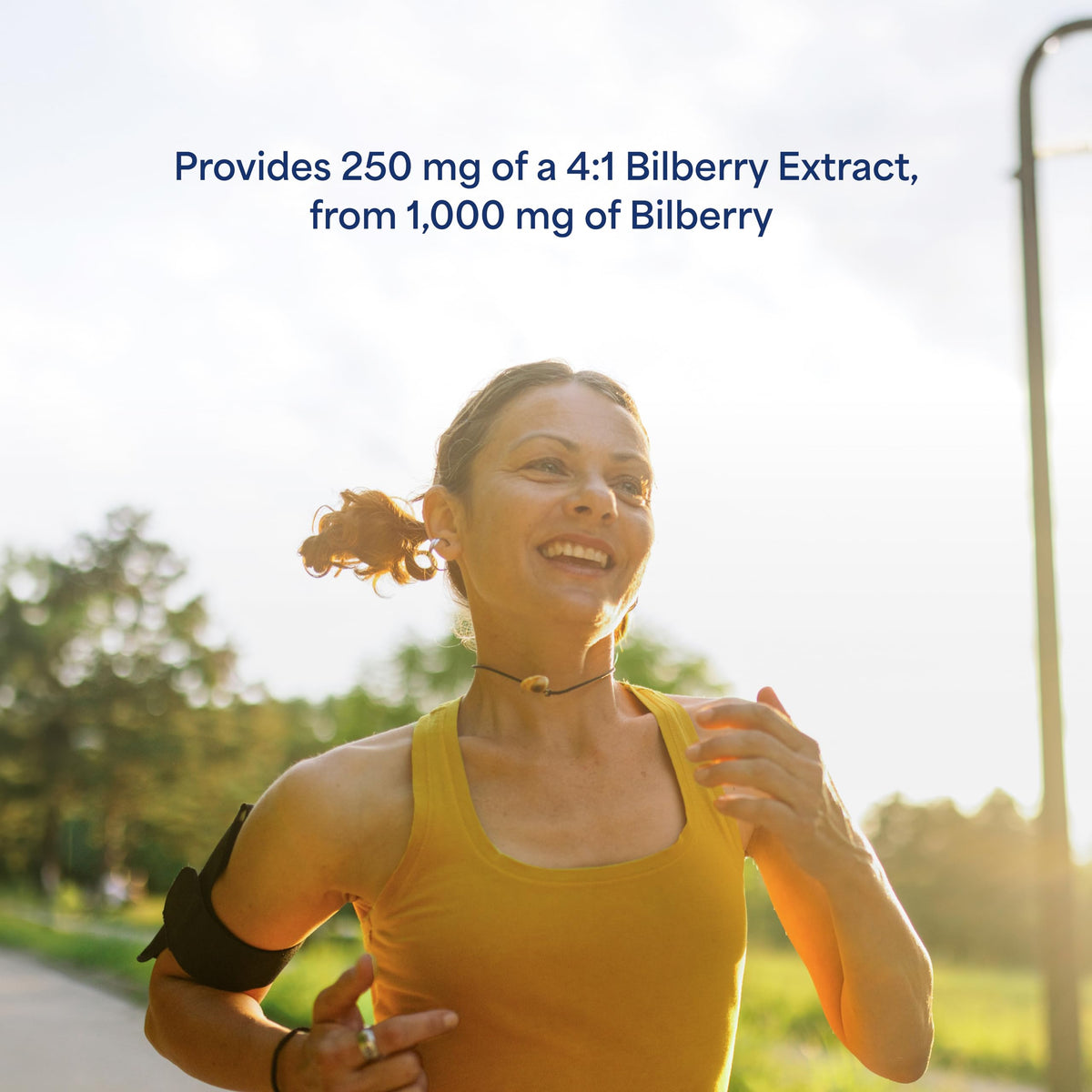 Puritan's Pride Premium Bilberry Fruit Extract 250mg, 180 Softgels