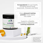 Designs for Health GI Revive Digestive Gut Health Powder, 28 Servings