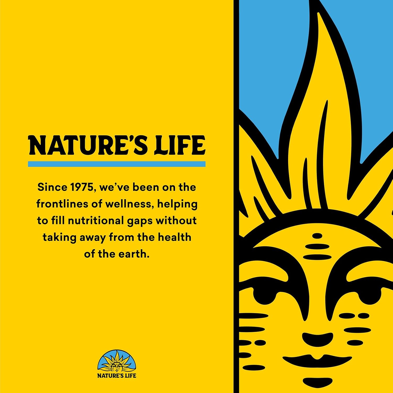 Buy now Nature's Life Bioflavonoids 1000mg per Serving | 250 Capsules | More Than 4 Months Supply | Lemon Bioflavonoid Complex, Hesperidin & Rutin | Antioxidant for Healthy Capillaries & VIT C Absorption at indiglob india
