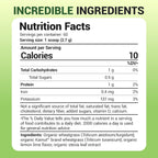 Buy now Dr. Berg USDA Certified Organic Green Powder Superfood (60 Servings) - Made with Raw Wheatgrass, Chlorophyll, Trace Minerals & Natural Enzymes - Non-GMO Green Superfood Powder - Lemon Flavor at indiglob india