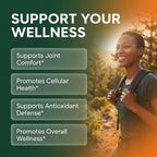 Clean Nutra Soursop Supplement Moringa Sea Moss Black Seed Oil Berberine Turmeric Resveratrol Quercetin Greens Bitters Boswellia Bitter Melon Burdock Root Antioxidant Support 90 Capsules