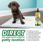 Buy now Bodhi Dog Potty Training Spray - Puppy & Dog Training Aid for Indoor & Outdoor Attractant Spray Use - Encourages Proper Dog Pee Here Habits - Safe for Pets & Home - Made in The USA (8 Fl Oz) at indiglob india