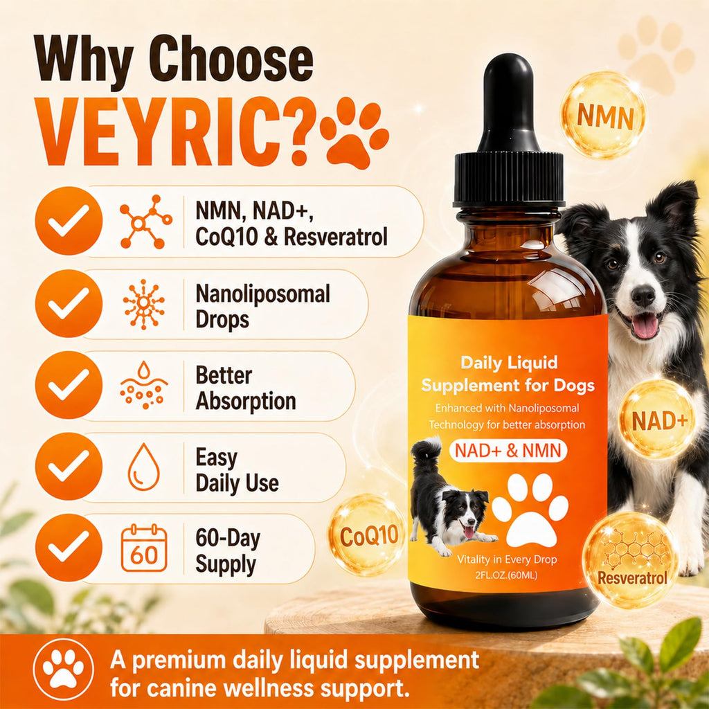 Dog Longevity Supplement with NMN, NAD+, CoQ10 & Resveratrol