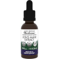Buy now Host Defense Mushrooms Lion's Mane Extract - Lion's Mane Liquid Supplement for Brain Health - Mushroom Support for Focus & Memory Function - Immune & Nervous System Support - 1 fl oz (30 Servings)* 1 Fl Oz (Pack of 1) at indiglob india