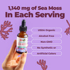 MARYRUTH'S Organic Irish Sea Moss Liquid Drops, Unflavored, 1 Fl Oz | Chondrus Crispus, Wild Harvested, For Adults & Kids Ages 14+, Sugar Free, Vegan