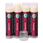 Buy now Earth's Daughter USDA Organic Lip Balm 6-Pack - Fruit Flavors, Beeswax, Coconut Oil, Vitamin E - Best Lip Repair Chapstick for Dry Cracked Lips - Moisturizing Lip Care at indiglob india