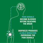 Buy now Biofreeze Pain Relief Spray, Arthritis Pain Reliever, Knee & Lower Back Pain Relief, Sore Muscle Relief, Neck Pain Relief, FSA Eligible, 2 Pack (4 FL OZ Biofreeze Menthol Spray) at indiglob india