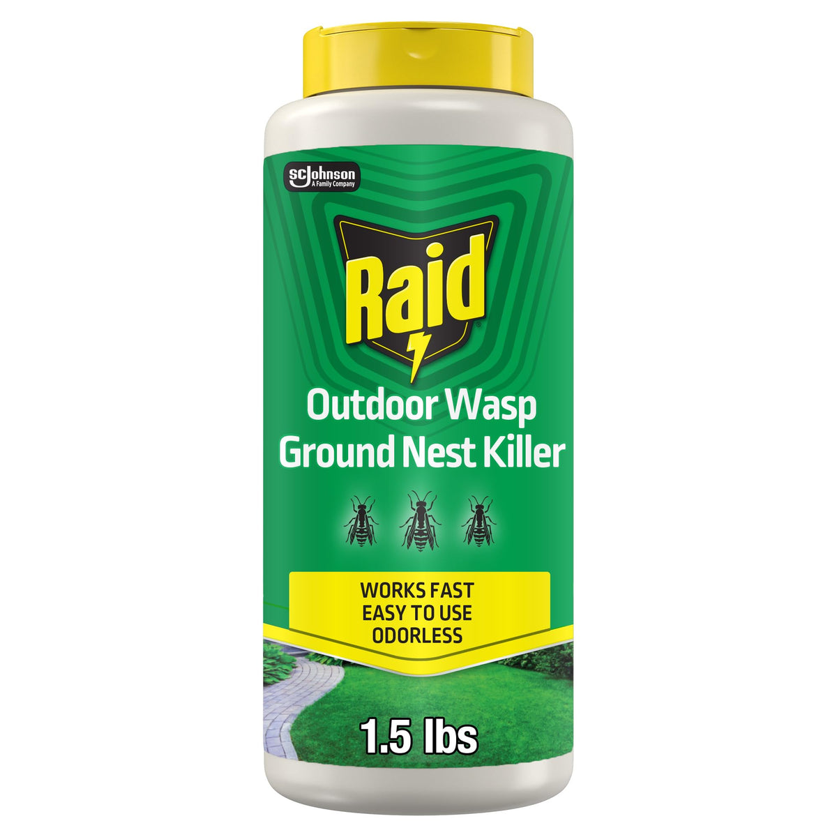 Raid Outdoor Ground Nest Wasp & Insect Killer Dust, 24 oz