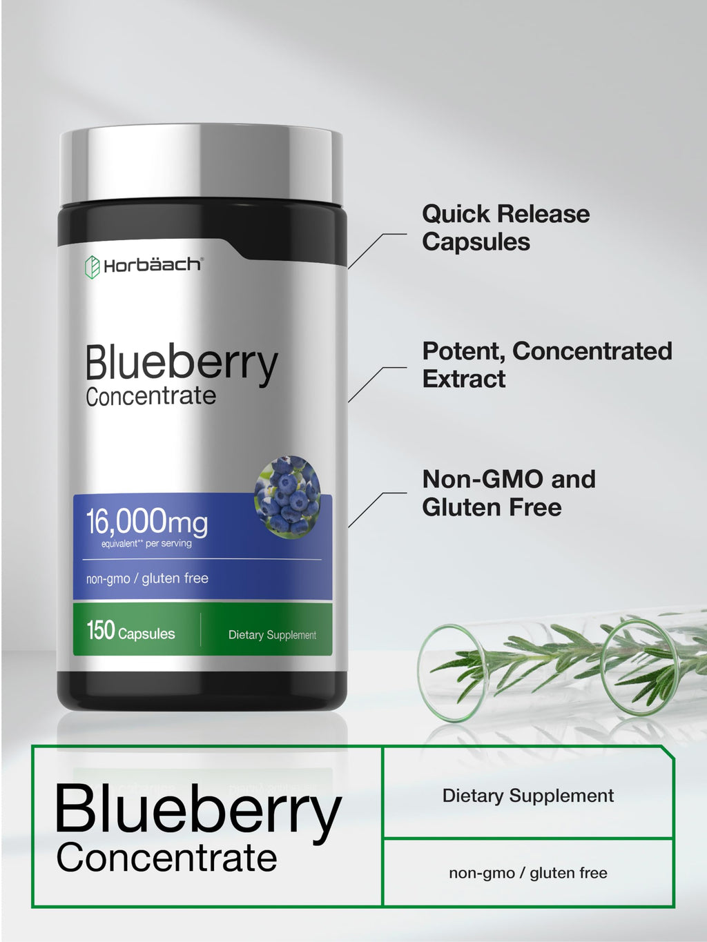 Horbäach Blueberry Concentrate Extract Supplement | 150 Capsules