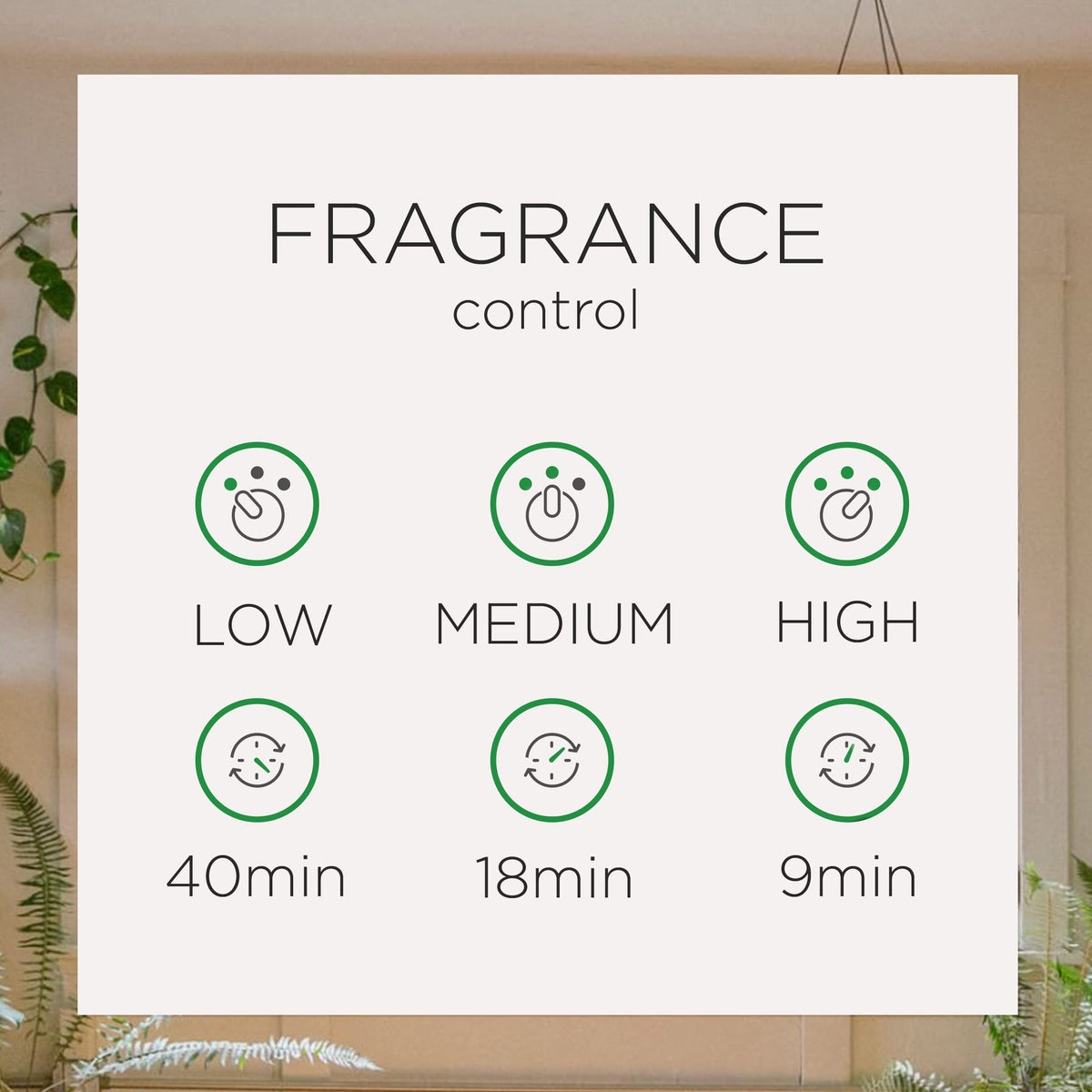 Air Wick Automatic Air Freshener Spray Starter Kit, Fresh Linen, 2ct