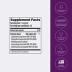 Pendulum Metabolic Daily - Multi-Strain Probiotic with Akkermansia muciniphila to Support Metabolism and Sustain Energy Levels - for Women and Men - 30 Capsules (1 Pack)