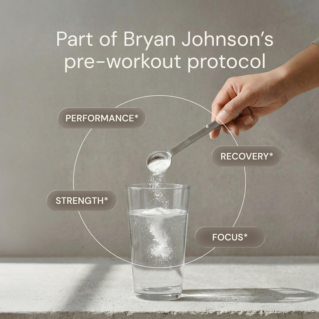 Blueprint Bryan Johnson Creatine Monohydrate Powder – Amino Acid Powder - Supplement Supports Muscle Recovery, Strength & Focus – Unflavored Creatine for Women & Men – 5g Dose – 100 Servings