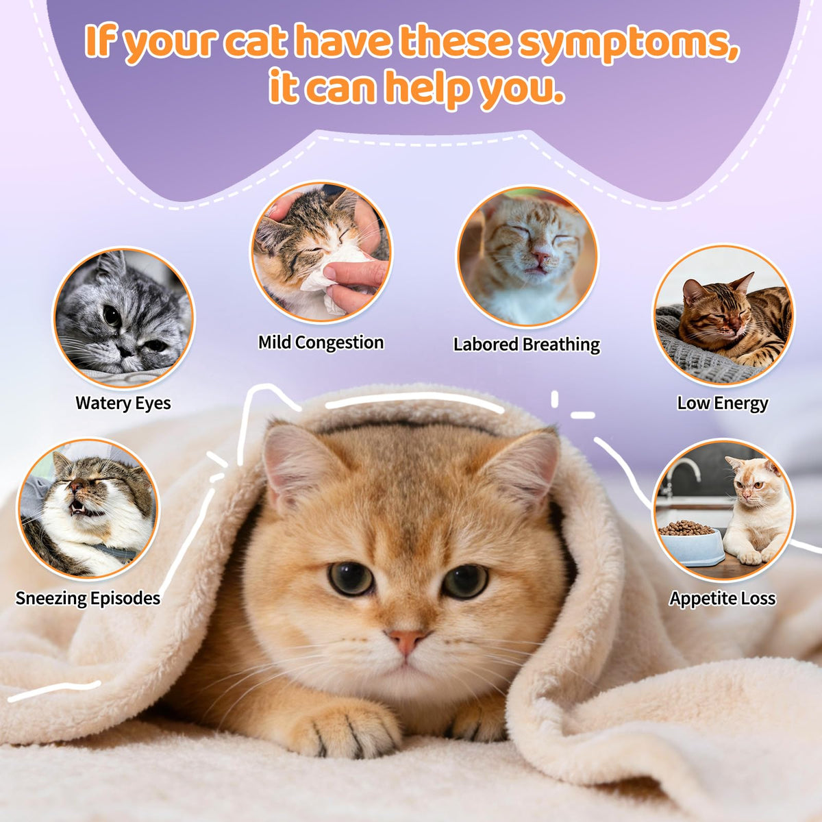 Lysine for Cats Treats for Immune Support with Colostrum, Omega-3, 500ct