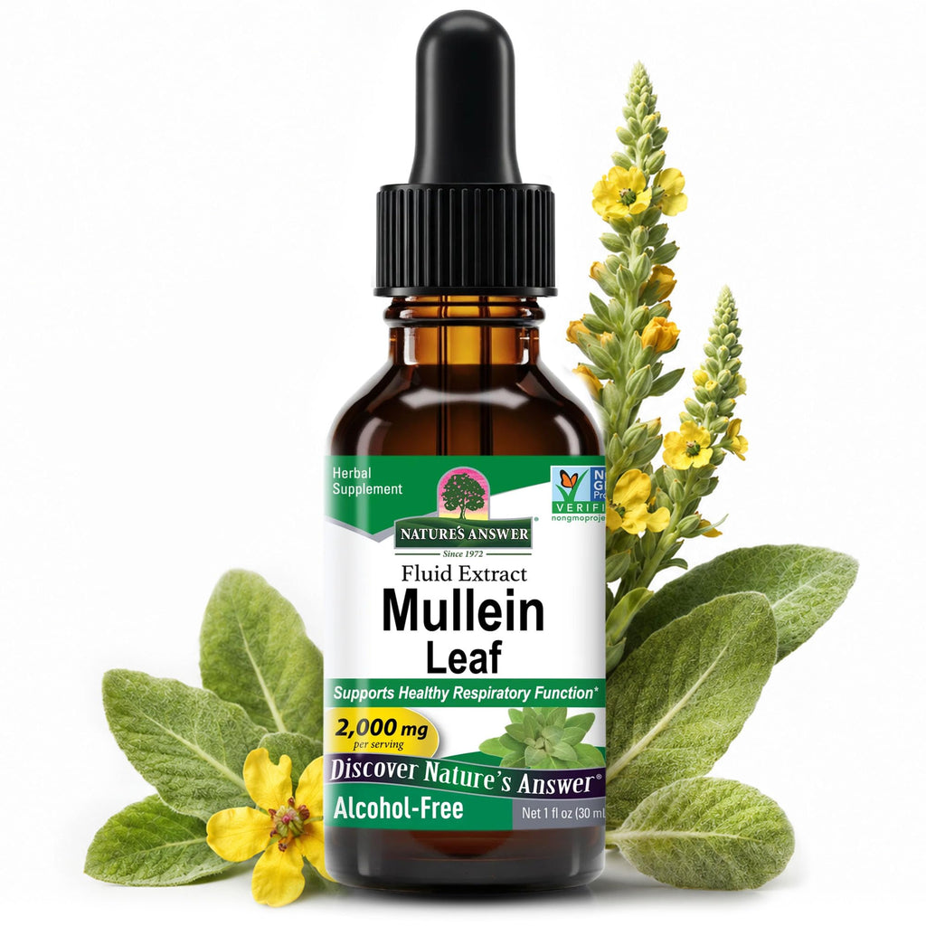Nature's Answer Mullein Herb-Mullein Leaf Extract for Lungs - Alcohol Free, Non GMO, Made in USA - Supports Respiratory Function & Promotes Healthy Lungs-Mullein Leaf 1 Ounce Extract (Pack of 2)